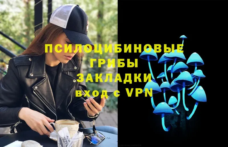 MEGA маркетплейс  Шагонар  darknet телеграм  Псилоцибиновые грибы Magic Shrooms 